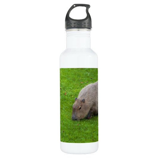 Phantastisches Tier Capybara Edelstahlflasche (Vorderseite)