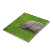 Phantastisches Tier Capybara Fliese (Seite)
