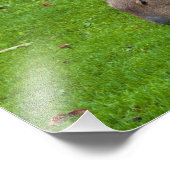 Phantastisches Tier Capybara Fotodruck (Ecke)