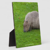 Phantastisches Tier Capybara Fotoplatte (Seite)