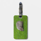 Phantastisches Tier Capybara Gepäckanhänger (Rückseite vertikal)