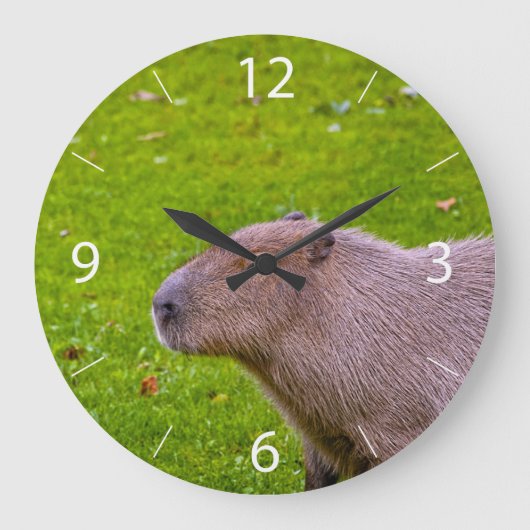 Phantastisches Tier Capybara Große Wanduhr (Vorderseite)