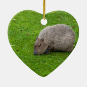 Phantastisches Tier Capybara Keramikornament