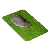 Phantastisches Tier Capybara Magnet (Rechte Seite)