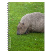 Phantastisches Tier Capybara Notizblock (Vorderseite)
