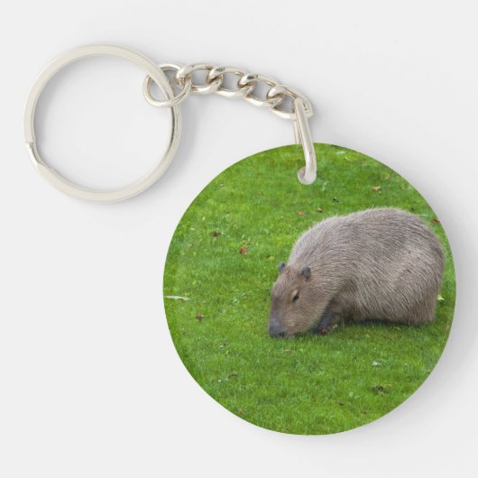 Phantastisches Tier Capybara Schlüsselanhänger (Vorderseite)