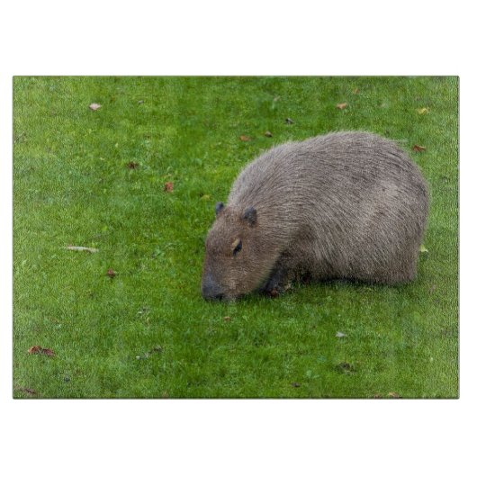 Phantastisches Tier Capybara Schneidebrett (Vorderseite)