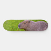 Phantastisches Tier Capybara Skateboard (Horizontal)