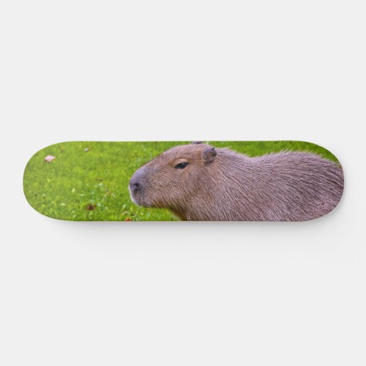 Phantastisches Tier Capybara Skateboard (Horizontal)