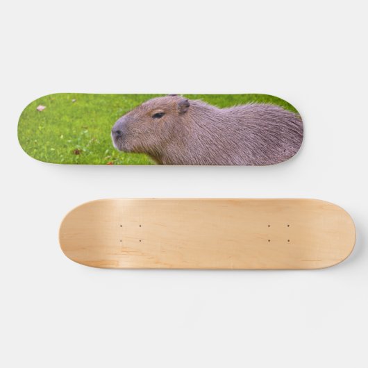 Phantastisches Tier Capybara Skateboard (Horizontal)