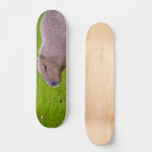 Phantastisches Tier Capybara Skateboard (Vorderseite)