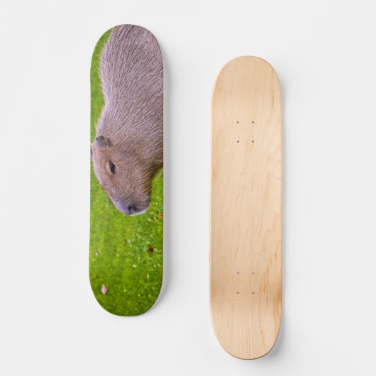 Phantastisches Tier Capybara Skateboard (Vorderseite)