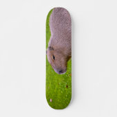 Phantastisches Tier Capybara Skateboard (Vorne)