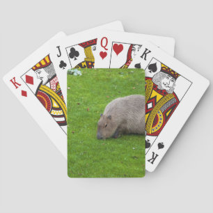Phantastisches Tier Capybara Spielkarten