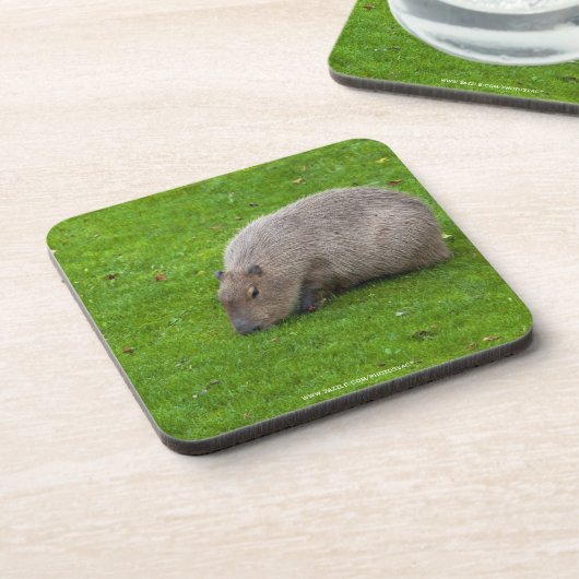 Phantastisches Tier Capybara Untersetzer (Linke Seite)
