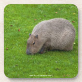 Phantastisches Tier Capybara Untersetzer (Vorderseite)