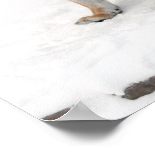 Phantastisches Tiger mit ihrem Cub im Schnee Poster (Ecke)