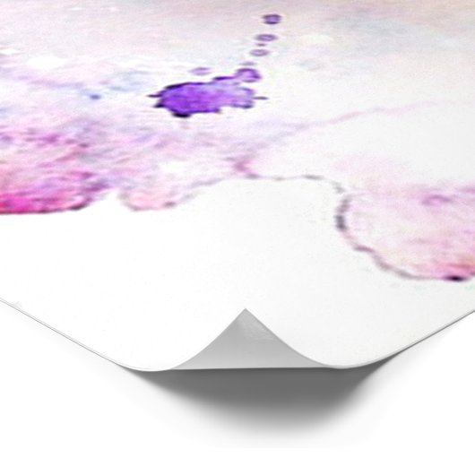 Phantastisches Wasserross Poster (Ecke)