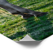 Phantastisches Weizen Poster (Ecke)