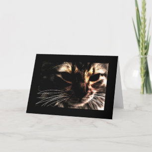 Phantom Cat With Border Karte
