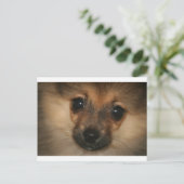 Phantom Dog Postkarte (Stehend Vorderseite)