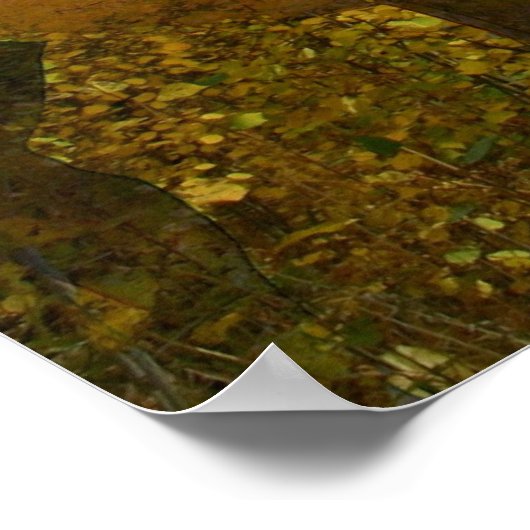 Phantom Grove Poster (Ecke)