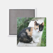 Phantom Opera Cat Magnet (Vorderseite/Rückseite)