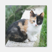 Phantom Opera Cat Magnet (Vorne)