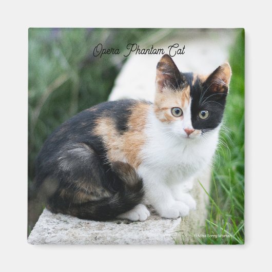 Phantom Opera Cat Magnet (Vorne)