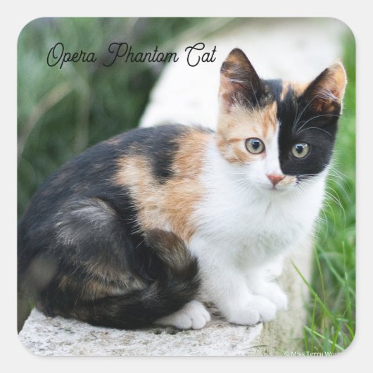 Phantom Opera Cat Quadratischer Aufkleber (Vorderseite)