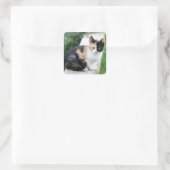 Phantom Operkatze Quadratischer Aufkleber (Tasche)