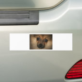 Phantomhund Autoaufkleber (Auf Auto)