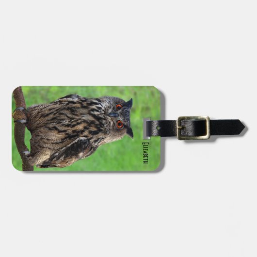 Pharao-Eagle-Eulen-Gepäckanhänger Gepäckanhänger (Vorderseite horizontal)