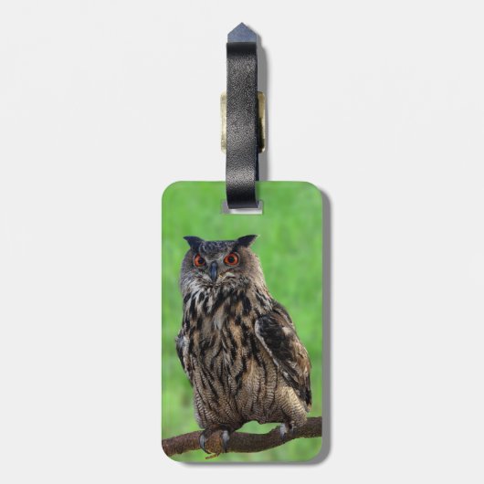 Pharao-Eagle-Eulen-Gepäckanhänger Gepäckanhänger (Rückseite vertikal)