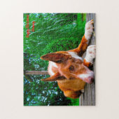 Pharao Hound Hund. Puzzle (Vertikal)