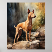 Pharaoh Dog Art Print Poster (Vorne)