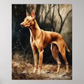 Pharaoh Dog Art Print Poster (Vorne)