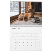 Pharaoh Hound 2027 Wandkalender (Jan 2027)