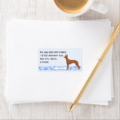 Pharaoh Hound auf Blue Gingham Adressaufkleber (Insitu)