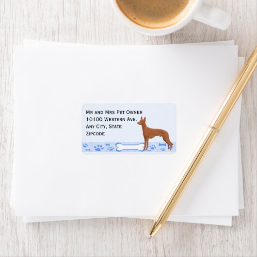 Pharaoh Hound auf Blue Gingham Adressaufkleber (Insitu)