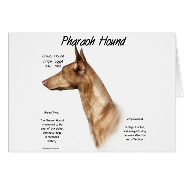 Pharaoh Hound History Design (Vorderseite (Horizontal))