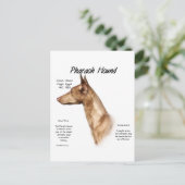 Pharaoh Hound History Design Postkarte (Stehend Vorderseite)