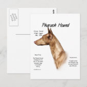 Pharaoh Hound History Design Postkarte (Vorne/Hinten)
