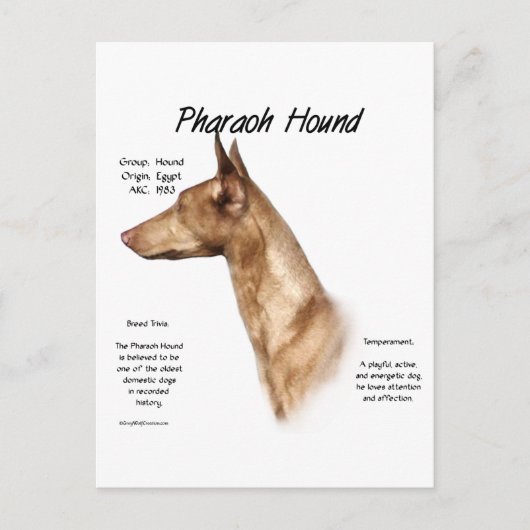 Pharaoh Hound History Design Postkarte (Vorderseite)