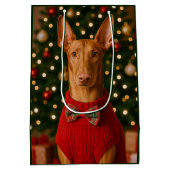 Pharaoh Hound Holiday  Mittlere Geschenktüte (Rückseite)