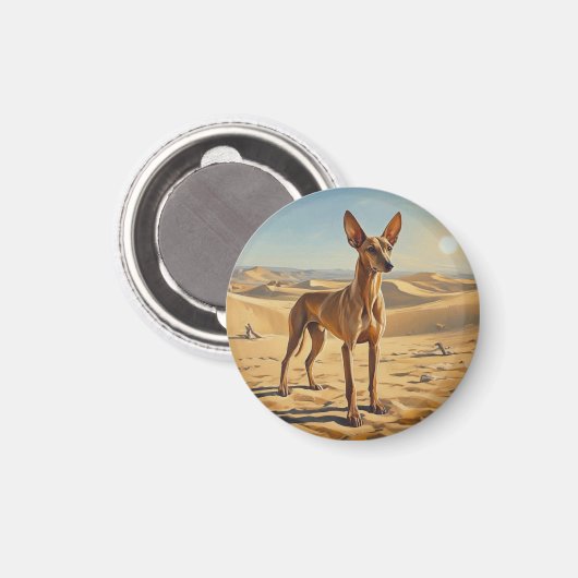 Pharaoh Hound Magnet (Vorderseite/Rückseite)