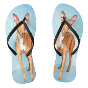 Pharaoh Hound Painting - Niedliche Original Hunde  Badesandalen