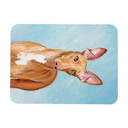 Pharaoh Hound Painting - Niedliche Original Hunde  Magnet (Horizontal)