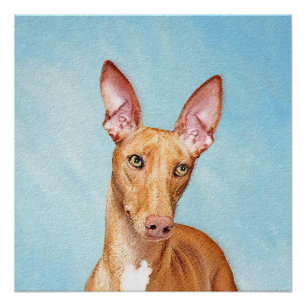 Pharaoh Hound Painting - Niedliche Original Hunde Poster