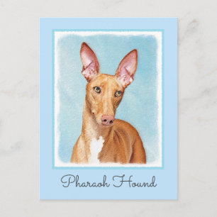 Pharaoh Hound Painting - Niedliche Original Hunde  Postkarte